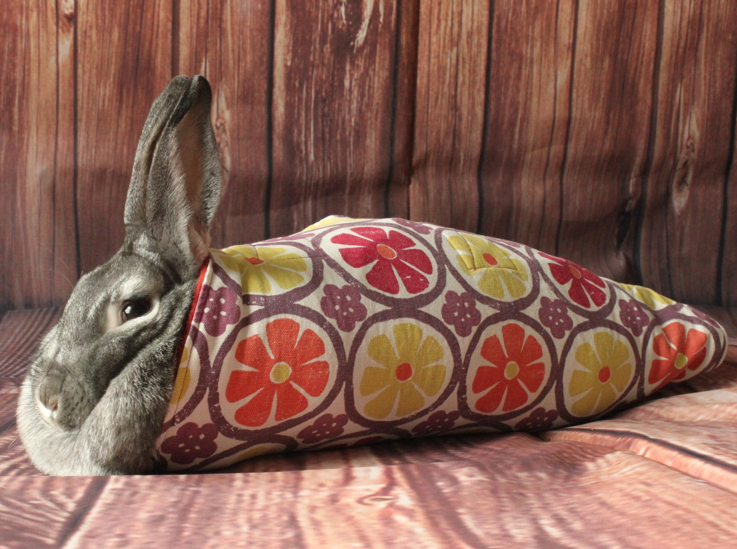 Lapin dans son enveloppe ou bunny wrap