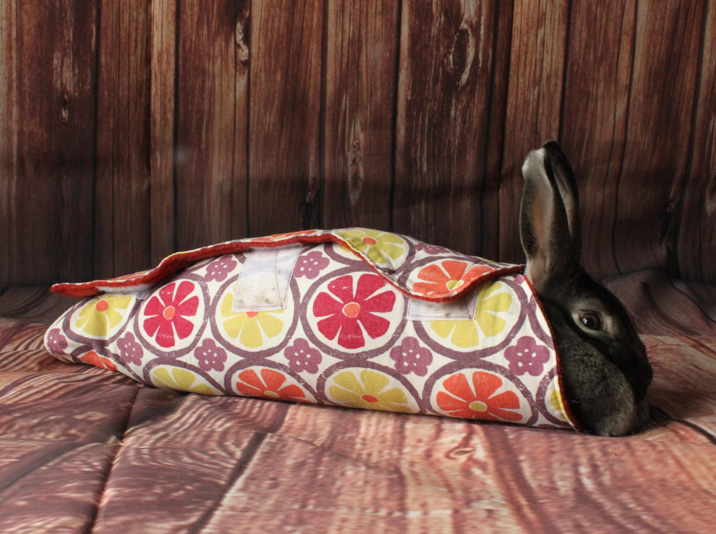 lapin dans son enveloppe ou bunny wrap